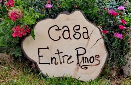 Susa Casa | Casa Entre Pinos susa
