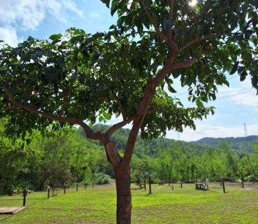 Checheng Cabina | 墾丁溪之谷樹屋農場民宿