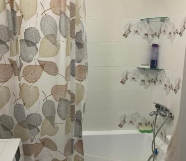 Visaginas Apartamento | 1 bedroom apartment
