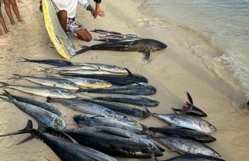 Pointe aux Canonniers Alquiler De Eote | Lastcast fishing Charters