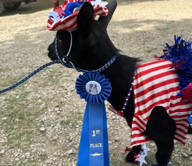 Bandera Casa | Lucky Star Ranch - Stargazer