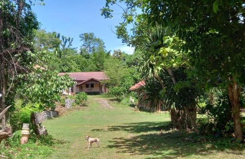 Sai Yok Casa | เนินอิ่มเอมโฮมเสตย์