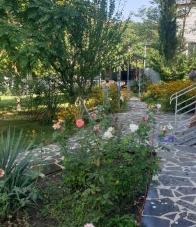 Bazaleti Casa | A house by the lake