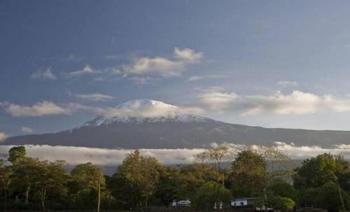 Arusha Cama Y Desayuno | Jungle lodge