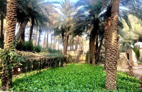 Riyadh Otro | منتجع ومزرعة نخيل نجد Najd Palms