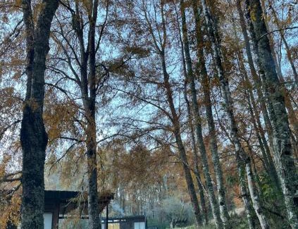 Caburgua Casa | Cabañas Cerro de Piedra CABURGUA