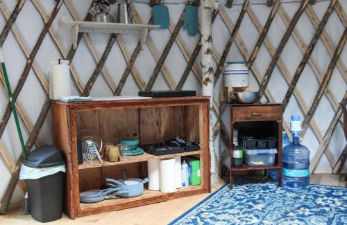 Brownfield Otro | Allie Mae Yurt nestled in the woods