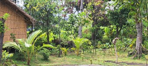 Tanna Island Casa | White Sand Ocean View Bungalow and Tours