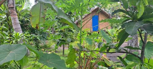 Tanna Island Casa | White Sand Ocean View Bungalow and Tours