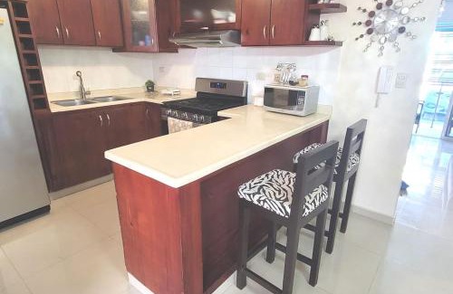 Punal Apartamento | Mi casita en Santiago