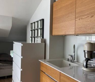 Ullanlinna Apartamento | Elegant Penthouse Loft - City Center