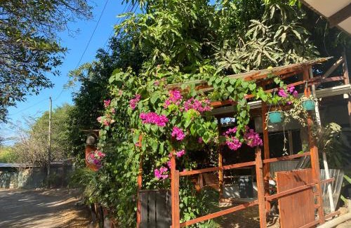 Tamarindo Hotel | Casa Chaak