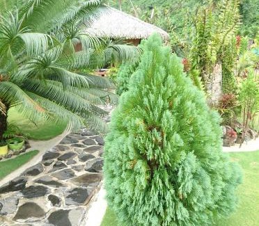 Huahine Apartamento | Rops Location Huahine