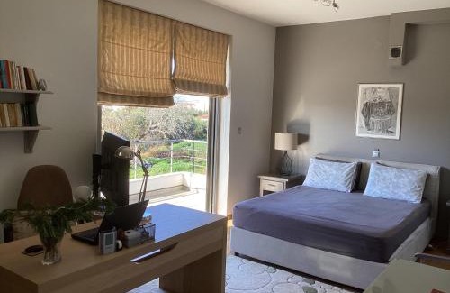 Mytikas Apartamento | Vila irini
