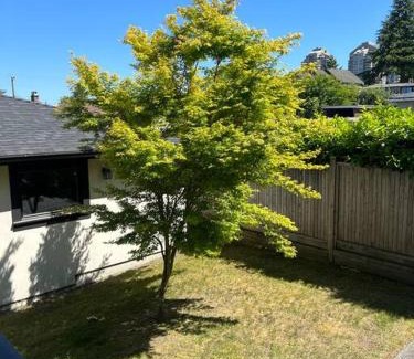 Burnaby Casa | Spacious, Luxurious house in the heart of Burnaby