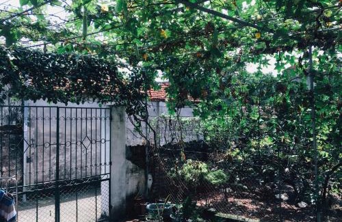 Viet Yen Casa | Quán Bà Tám