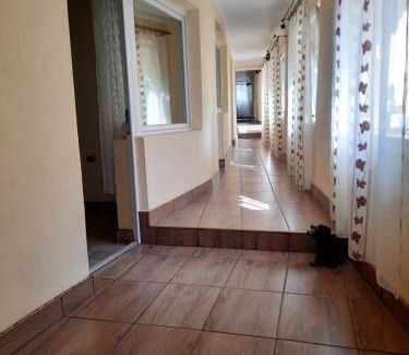 Baile Herculane Casa | Casa Grecu