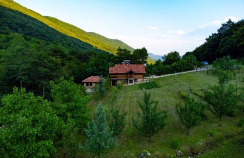 Bihac Apartamento | Kuća u šumi - Forrest house near Una National Park
