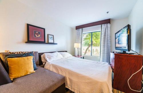 North Mountain Apartamento | Metro PHX downstairs 1bd sleeps 4 ADA Accessible