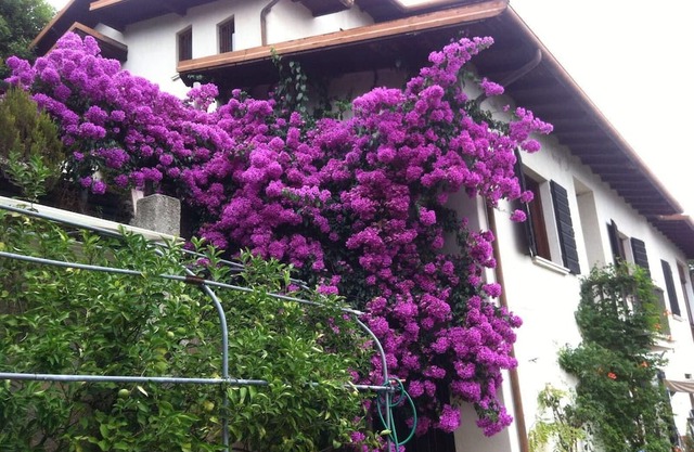 Holiday house Toscolano-Maderno for 1 - 6 persons with 3 bedrooms - Holiday home
