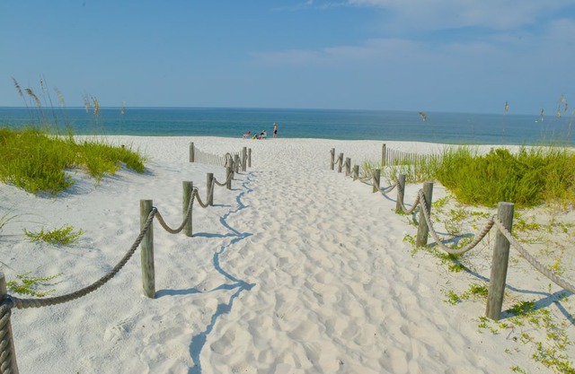 A+ location! Steps to beach. Claim your FREE bike rental. Message me for details