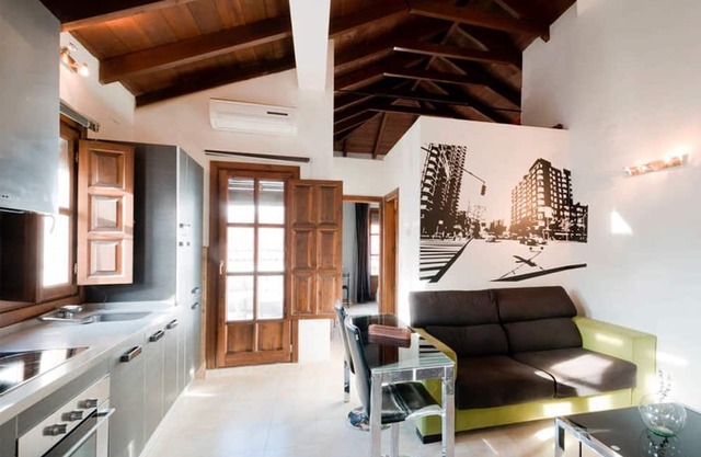 Spectacular loft terrace in the center with all wifi services