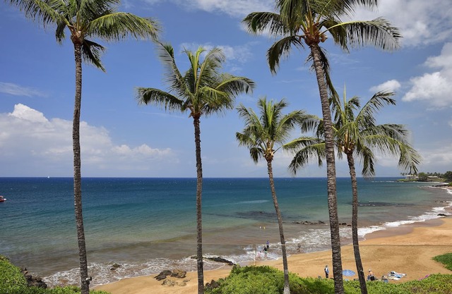 Makena Surf E 303 condominio frente a la playa único para familias