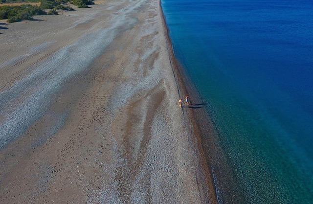 Luxury Beachfront Villa in Rhodes