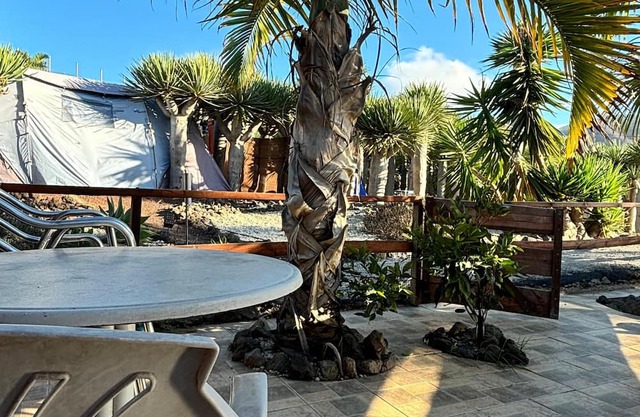 Agrocamping Invernaderito