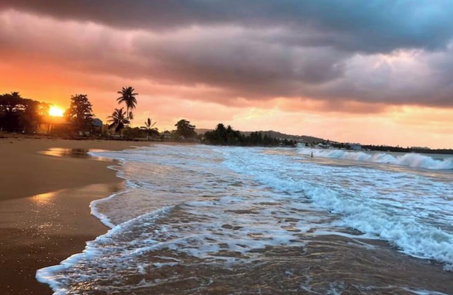 #E Tropical Rainforest Retreat Ocean View w/hottub