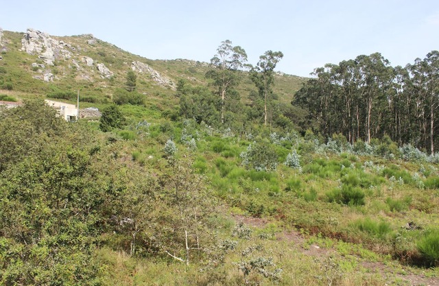 Alén de Louro - Apartamento 7 Mar de Lira