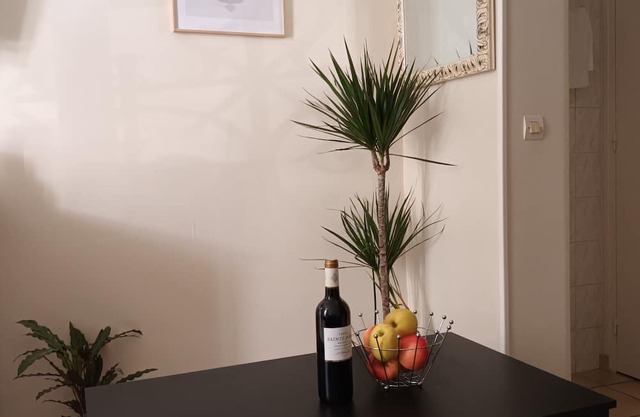 Apartment super location, very close to Eiffel Tower, Louvre, ...