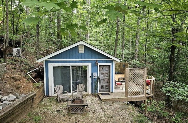 Lakeshore Cottage Lake Lanier | Privacy, Free Wifi