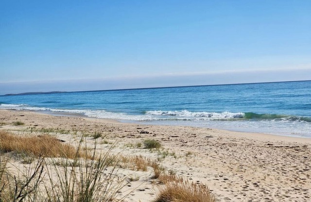 Ocean Breeze - Foodies Delight - Scamander