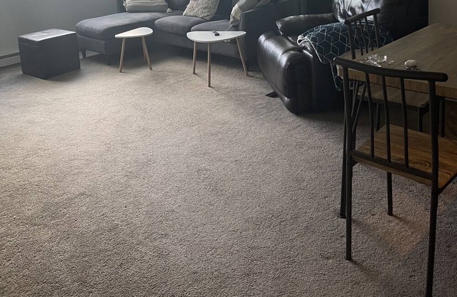 Large 1-bedroom apartment in lovely San Francisco with WiFi.
