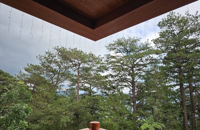 Forest Lodge Camp John Hay - Private