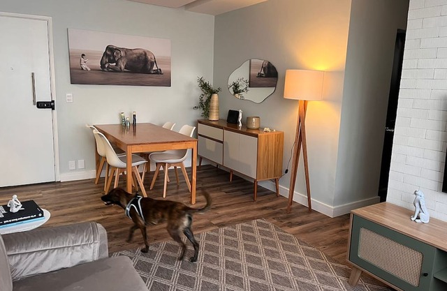 Apartamento Aconchegante e Confortavel em Santana