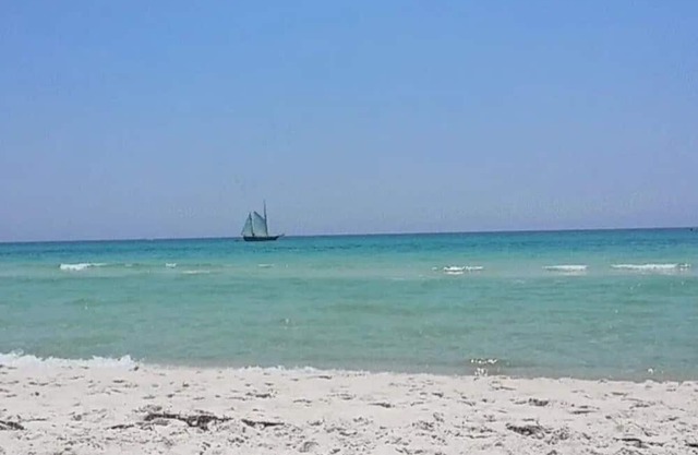 Coastal Comfort Near Beach Access, Pet-Friendly