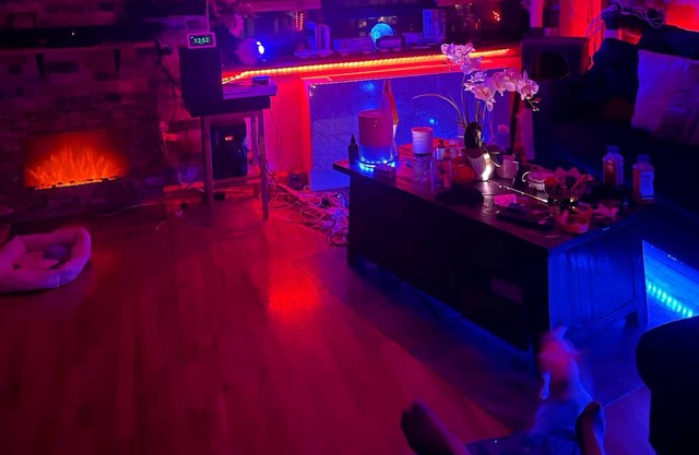 Cozy, Fun Studio