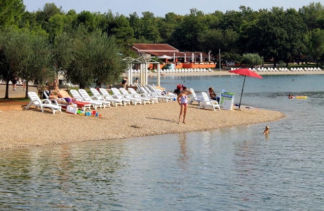 Three bedroom apartment with terrace Vilanija, Umag (A-22647-b)