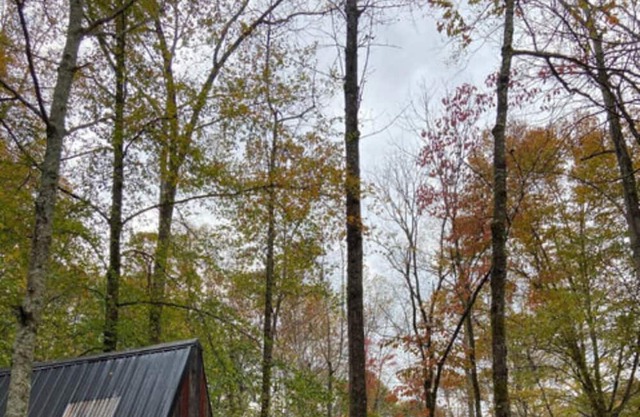 Glamping Unit #5 - Punkin Hollow Resort