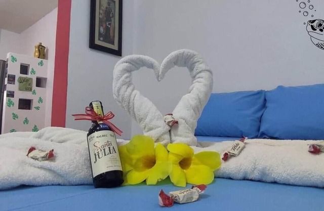 Tortuga's House
