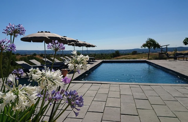 Casa de vacaciones 'Gîte L'olivier Au Mas Dujau' con piscina compartida, terraza privada y Wi-Fi