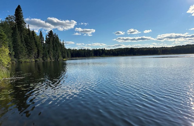 Rutledge Lake Retreat - Surrounded by 58 acres of Forest with Private Lake