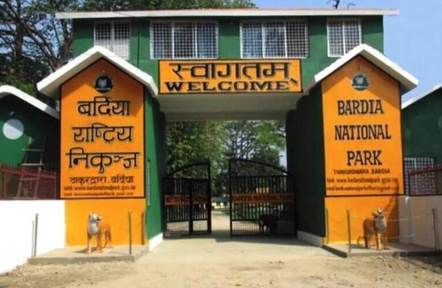 nBardiya Jungle Retreat - campsite 3