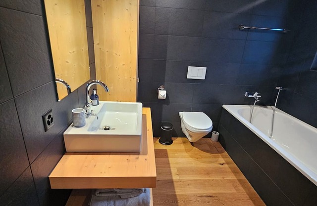 Vacation apartment in Gsteig (near Gstaad), mid-December 2025 to mid-March 2026!