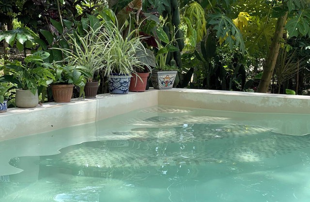 House in the jungle 2 BEDROOMS, EQUIPPED KITCHEN & ALBERCA