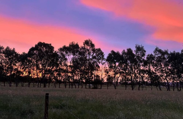 Cycle on Star Wooragee right near Beechworth