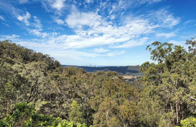 Skyline Serenity Goldcoast -Ocean Views surrounded by nature