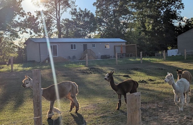 Alpaca Farm Retreat – Cozy 2BR Stay on Kloud 9 Haven, Near Beach & Wineries